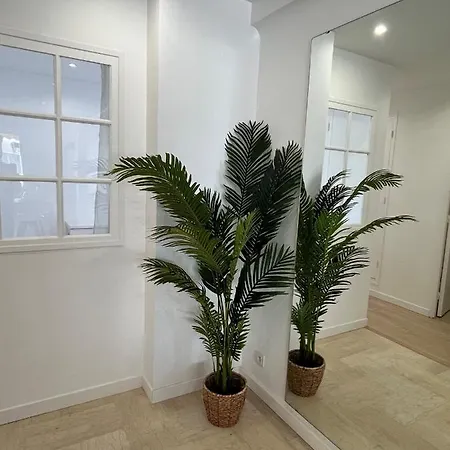 3p Refait A Neuf - Parking L430cm X W275cm Appartement *